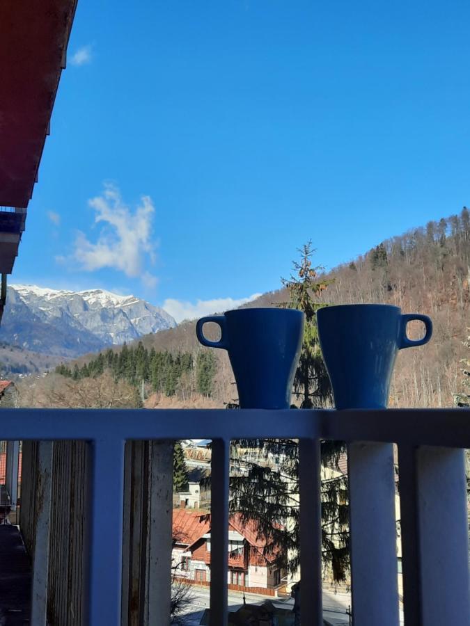 Apartament Erika Синая Экстерьер фото