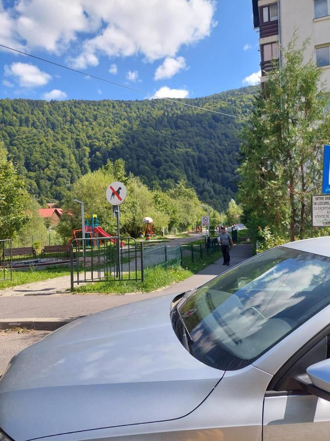 Apartament Erika Синая Экстерьер фото